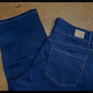 NWOT Roebuck & Co R1893 Girlfriend Jean Size 16